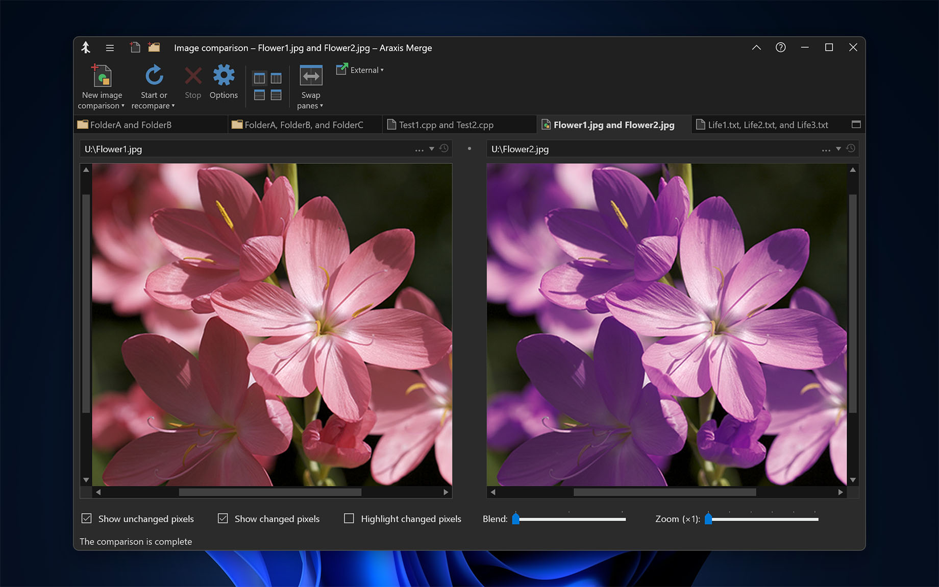 Two-way image comparison (Merge for Windows)
