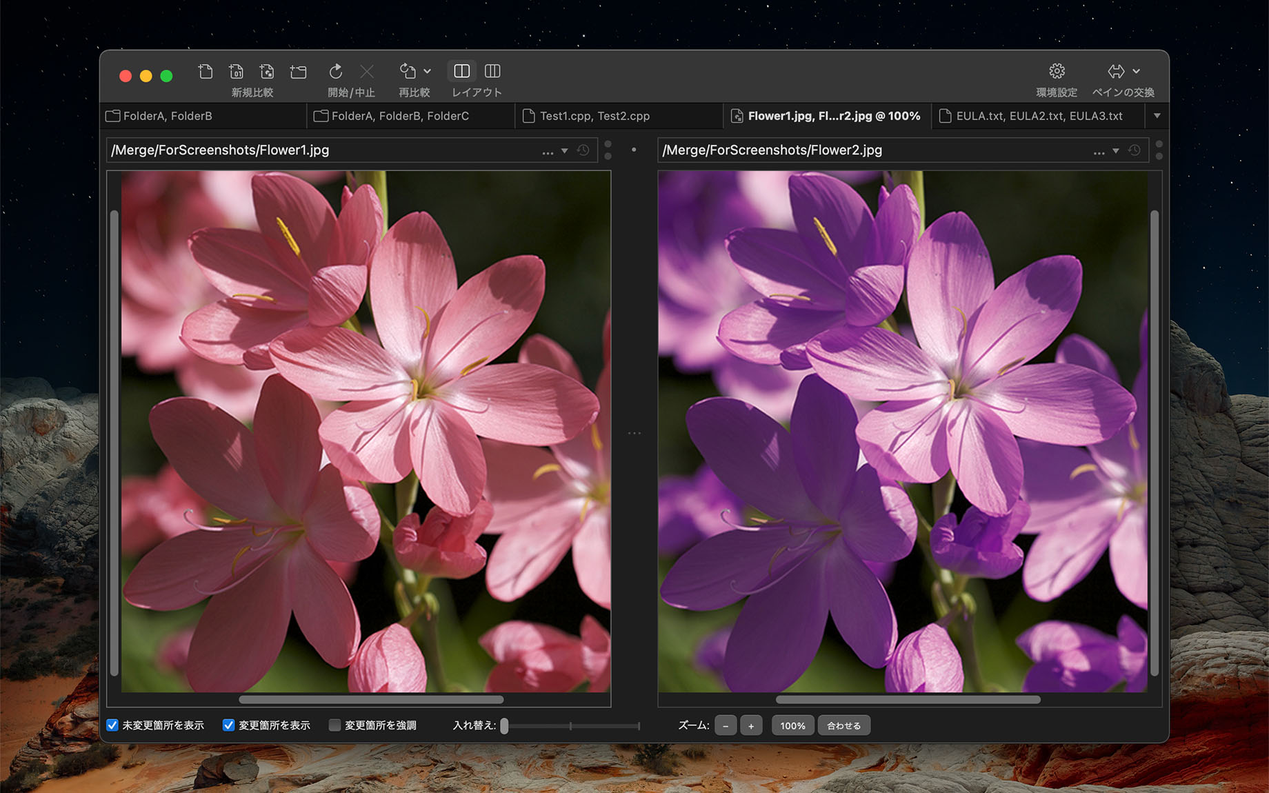 2 者間のイメージ比較（Merge for macOS）