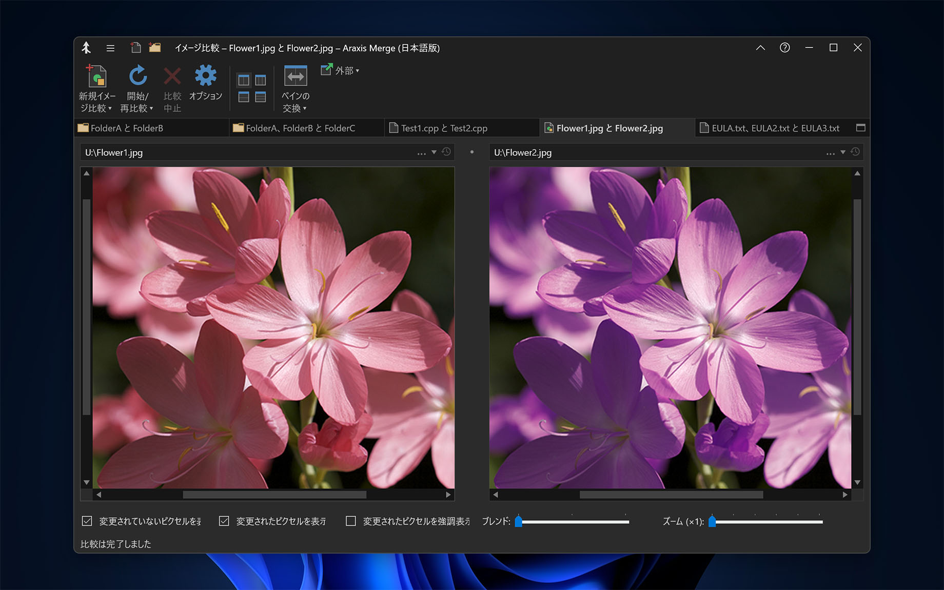2 者間のイメージ比較（Merge for Windows）